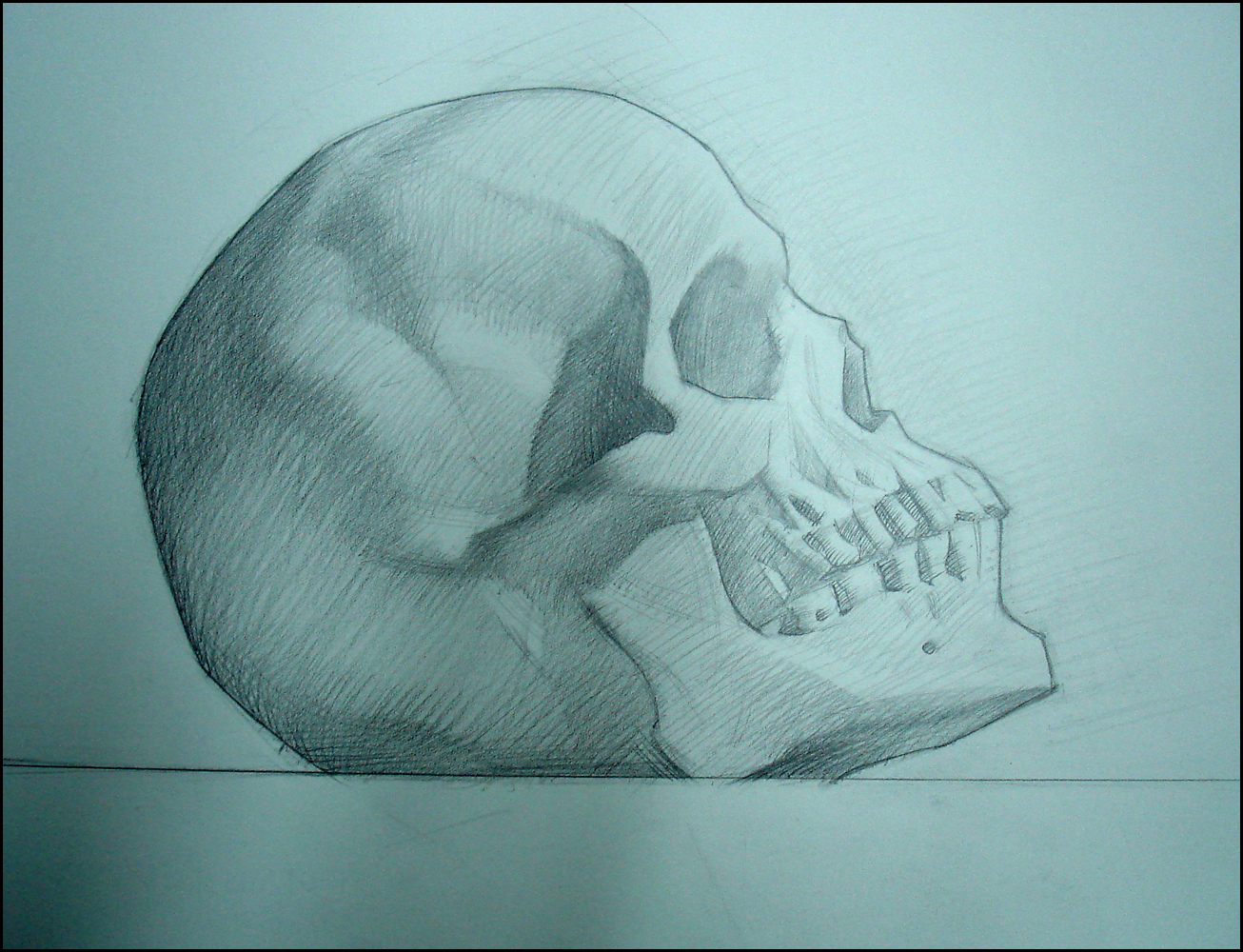Skull in Profile, pencil on paper, 9x12 inches